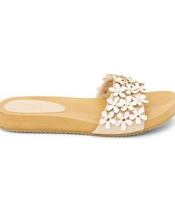 Wearcube.shop224490b479 1
