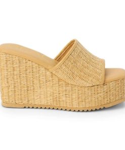 Wearcube.shop3f731bbd57 1