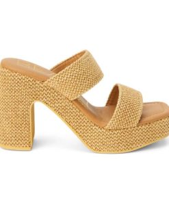 Wearcube.shop6bded1533c 1