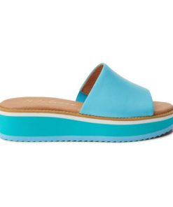Wearcube.shop9b0f717cfb 1
