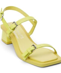 Wearcube.shopab20b43f60 4