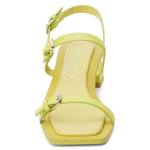 Wearcube.shopab20b43f60 5