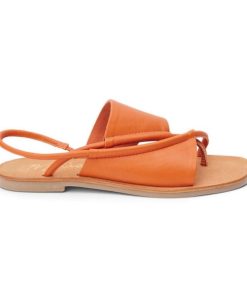 Wearcube.shopbf59f20845 1