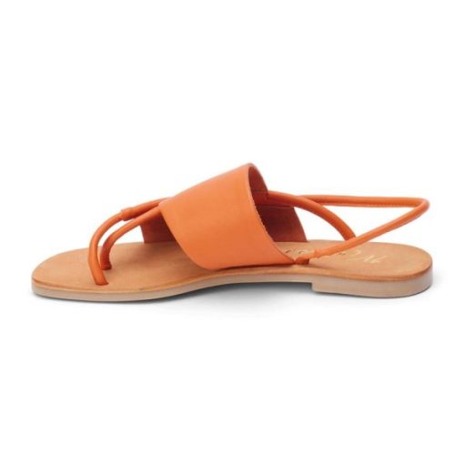 Wearcube.shopbf59f20845 2