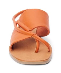 Wearcube.shopbf59f20845 4