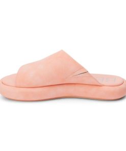 Wearcube.shopc096af4d67 3