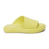 Wearcube.shopdc26512e04 1