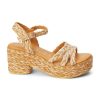 Wearcube.shopdc7efe0d57 1