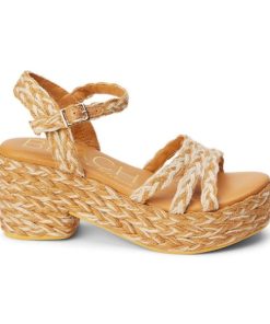 Wearcube.shopdc7efe0d57 1