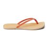 Wearcube.shope2fbe778bc 1
