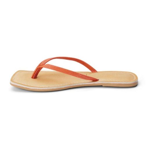 Wearcube.shope2fbe778bc 2