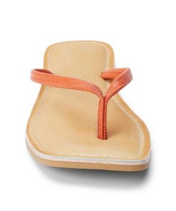Wearcube.shope2fbe778bc 4