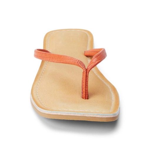 Wearcube.shope2fbe778bc 4