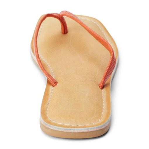 Wearcube.shope2fbe778bc 5