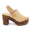 Wearcube.shopf49cb55cc7 1