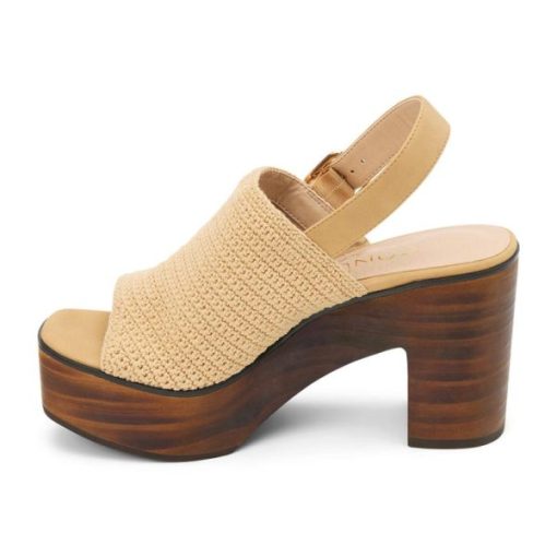 Wearcube.shopf49cb55cc7 2